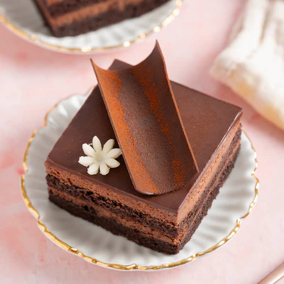 Dark Chocolate Dense Mousse Cake